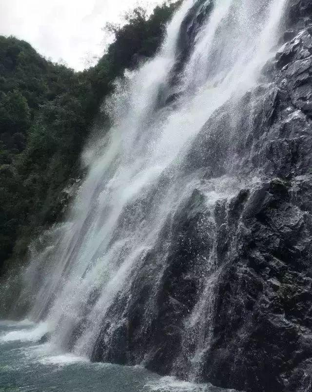 祸乱君心